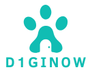 d1ginow.com